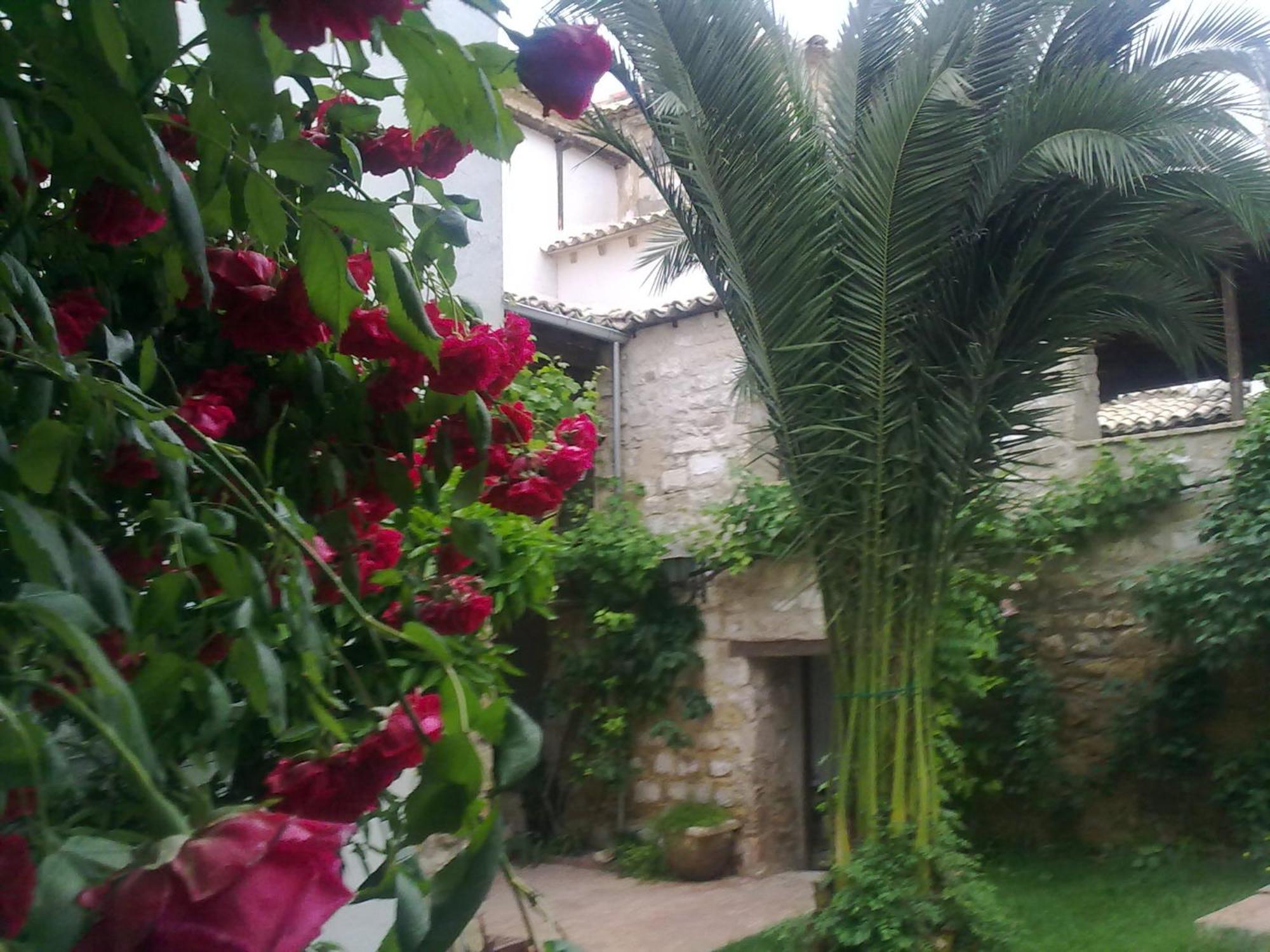 Apartamentos Turisticos El Losal Ubeda  Exterior photo